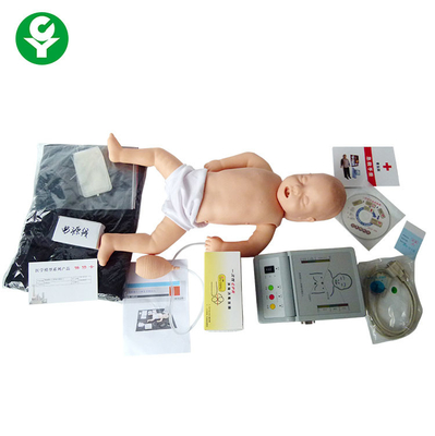 인간적인 환자 치료 인체 해부 모형에 의하여 가장되는 유아 심장과 폐 구급술 가르침